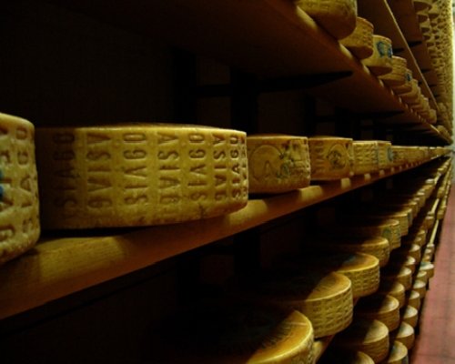 asiago